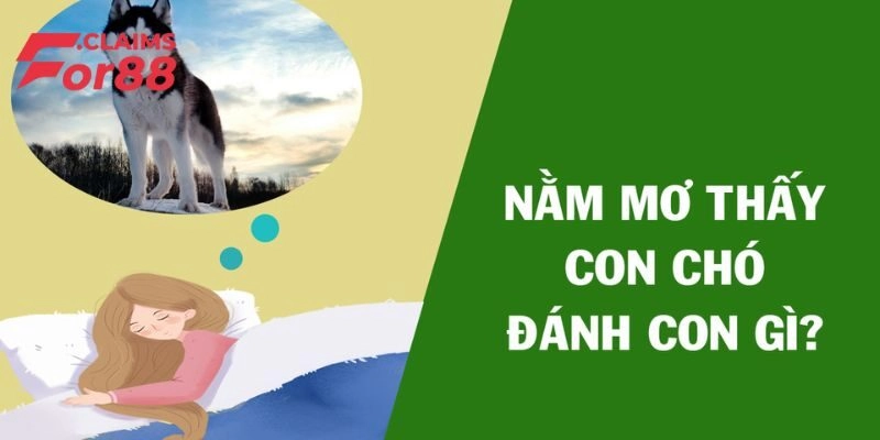 Mơ thấy chó đánh con gì? Bật mí lô đề cực chuẩn