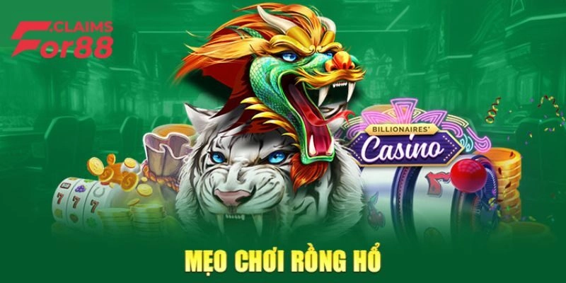 Hướng dẫn cách chơi rồng hổ tại For88