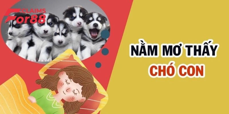 Tâm linh giải mã ý nghĩa mơ thấy chó