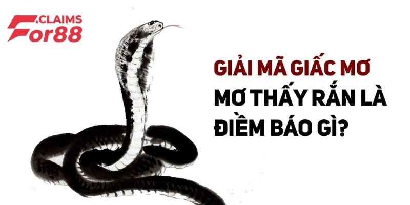 Mơ thấy rắn bởi lý do gì?