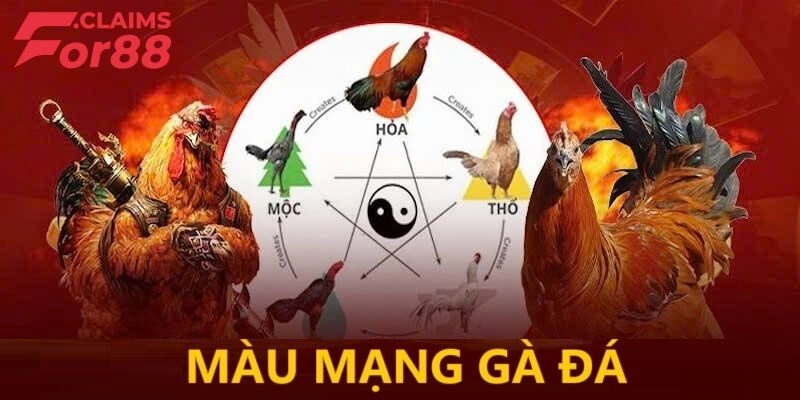 Màu Mạng Gà Đá – Bí Kíp Lựa Chiến Kê Đá Hay Theo Phong Thủy