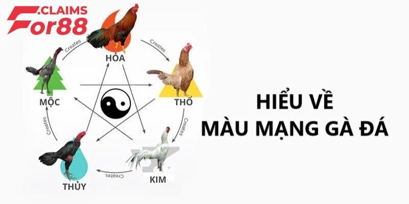 Màu mạng gà đá là gì?