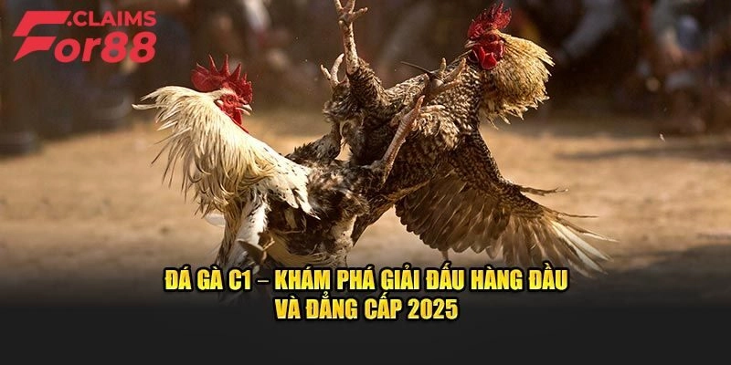 Trực Tiếp Đá Gà C1 - Đắm Chìm Vào Những Trận Đấu Đỉnh Cao
